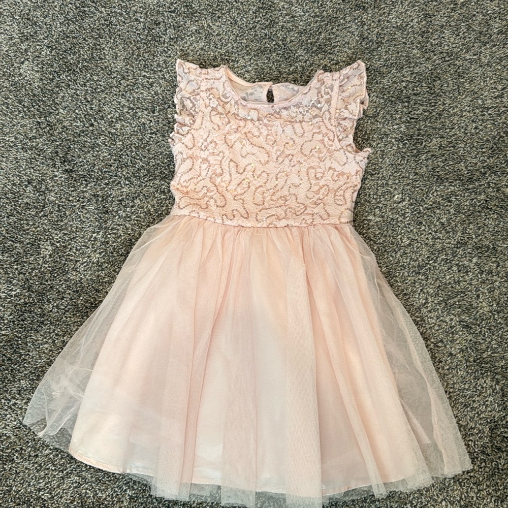 EUC Cat and Jack Pink Tulle dress